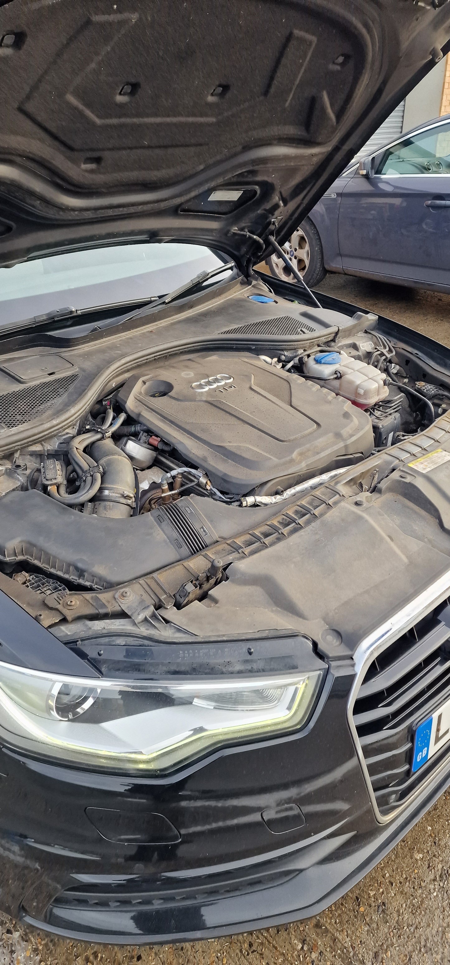 Engine Bay Cleaning