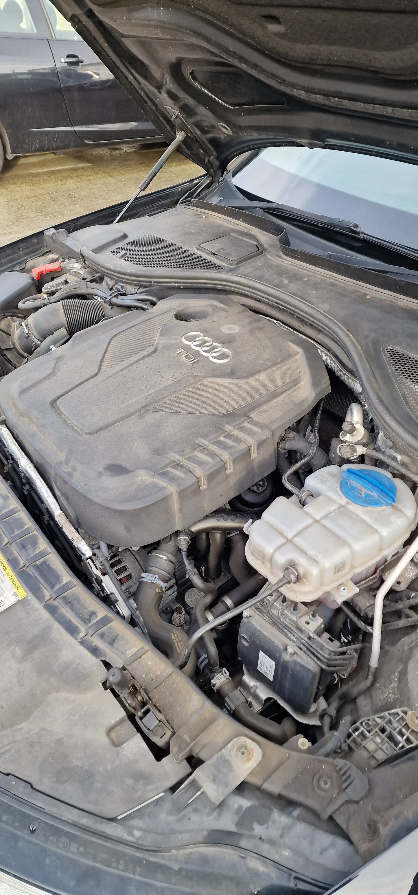 Engine Bay Cleaning