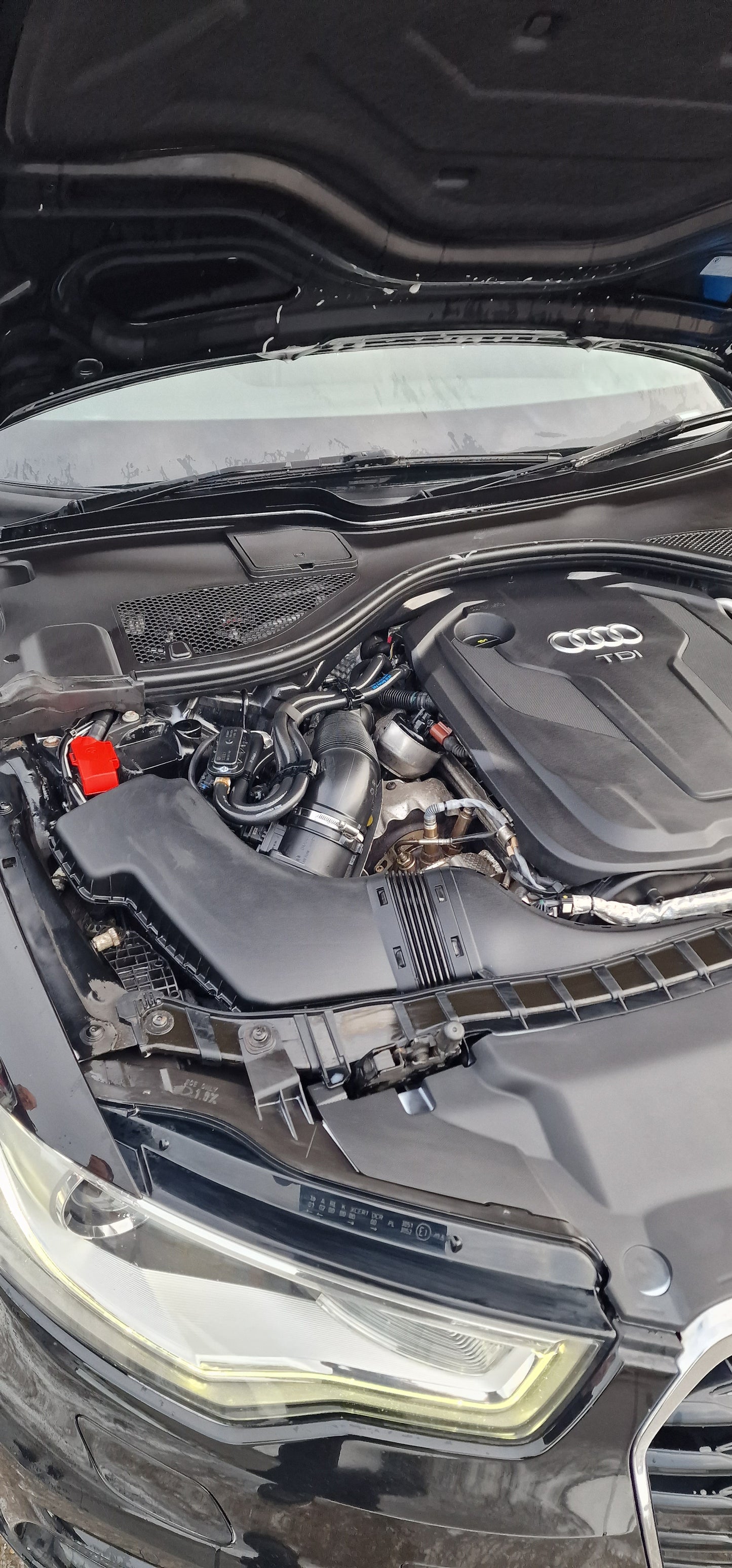 Engine Bay Cleaning