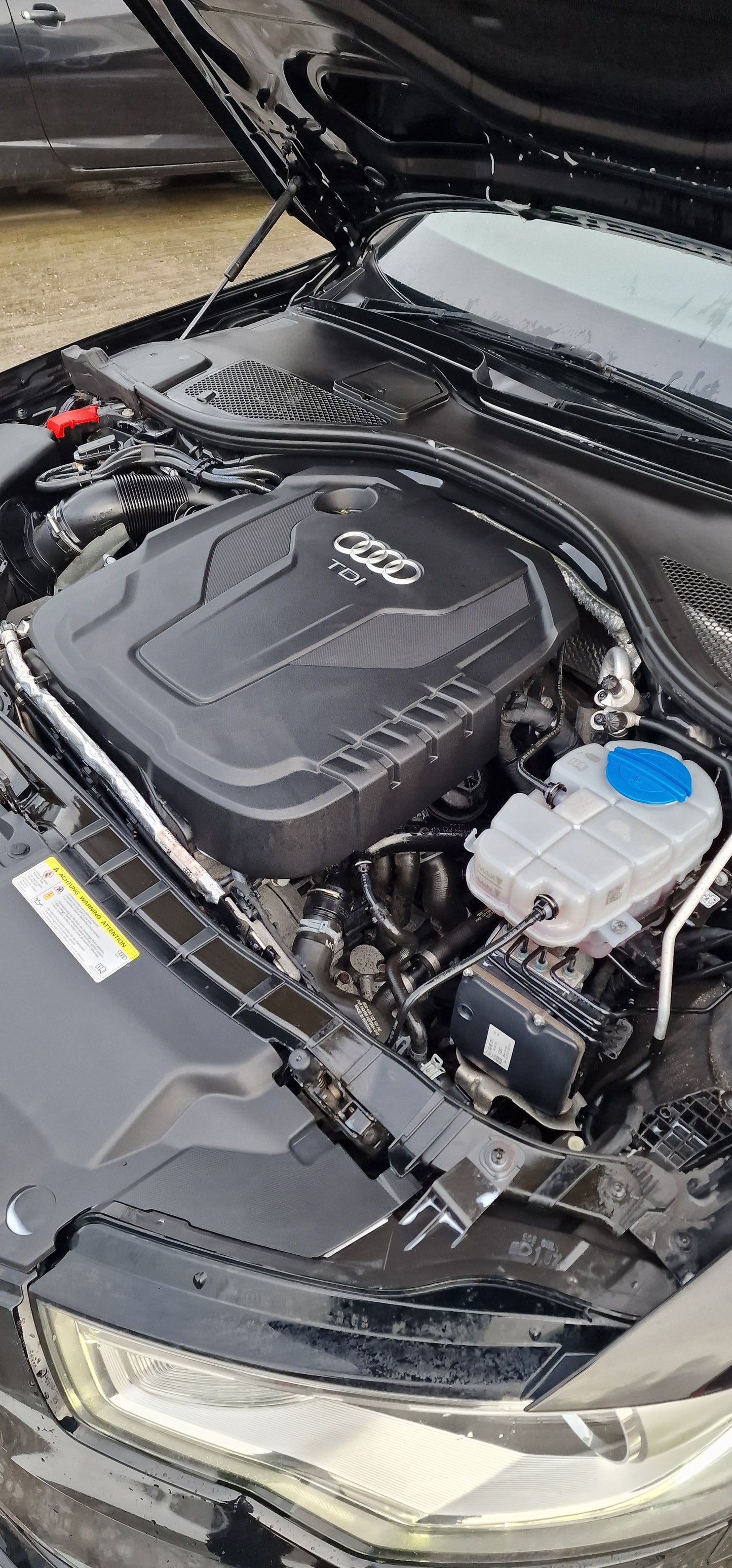 Engine Bay Cleaning